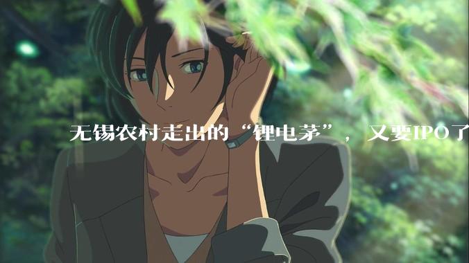 无锡农村走出的“锂电茅”，又要IPO了_先导_设备_王燕清