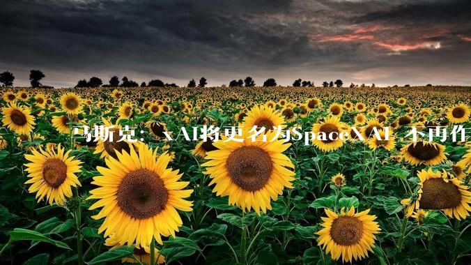 马斯克：xAI将更名为SpaceXAI 不再作为独立公司存在_人工智能_地球_员工