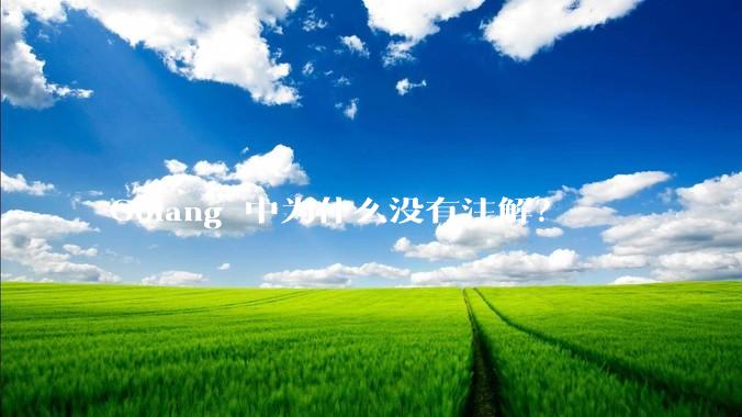 Golang 中为什么没有注解？