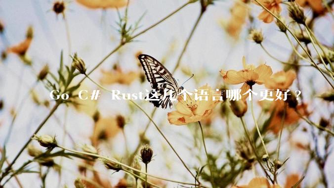 Go C# Rust这几个语言哪个更好?