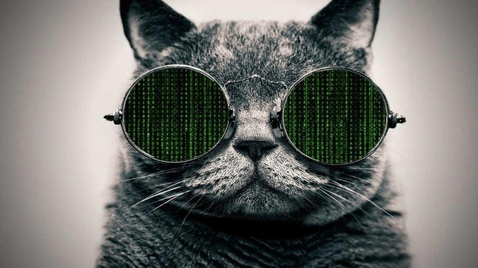 从2025年开始，为什么很多程序员都扔掉了Windows、Mac和Linux，开始拥抱鸿蒙pc了？